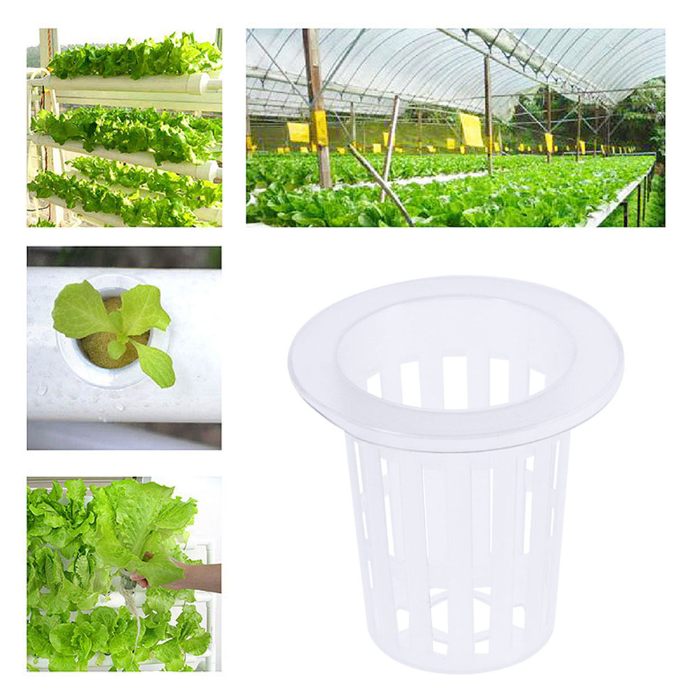 10 stuks hydroponische netpott - Plant Pot recensie en prijs