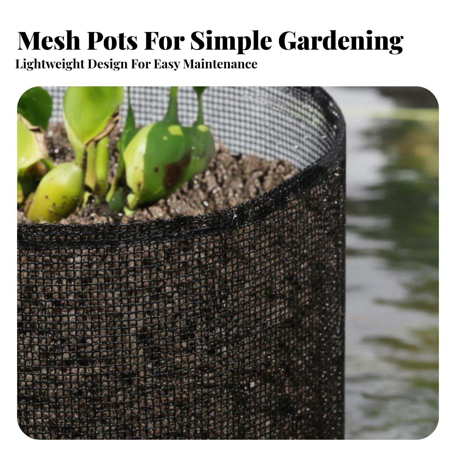 4-delige set waterlelie plante - Grow Bag recensie en prijs