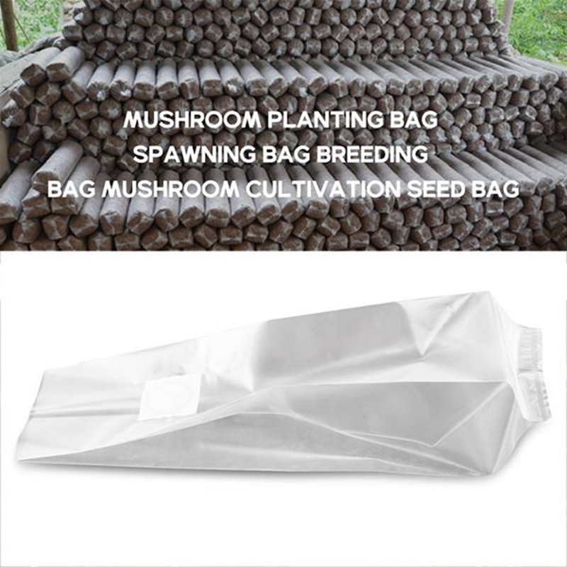50 stuks paddenstoelzakken/pad - Grow Bag recensie en prijs