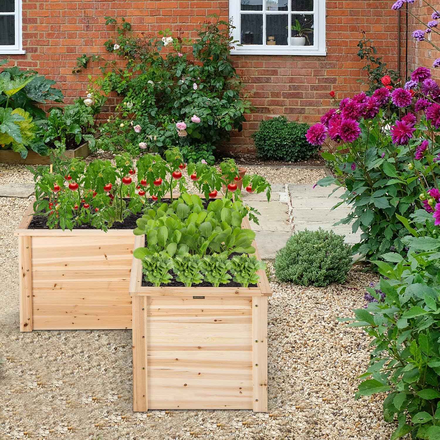 Verhoogd houten plantenbak, 47 - Raised Garden Bed recensie en prijs