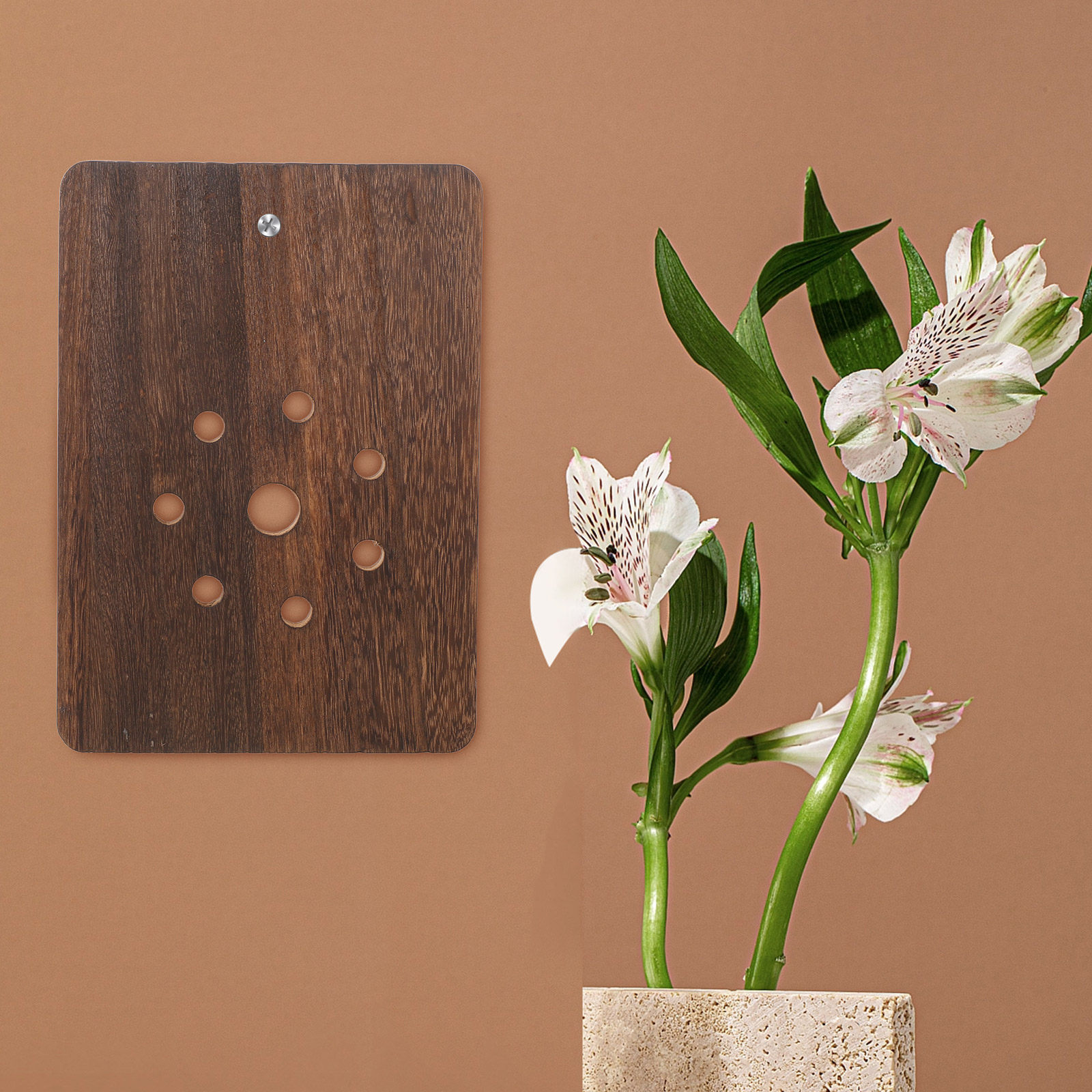 Bevestigingsbord voor hertenho - Vertical Planter recensie en prijs