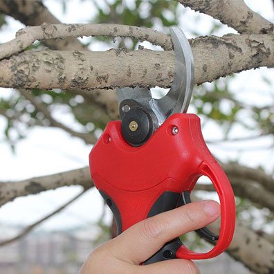 25-40mm snoeischaar voor boomg - Pruning Shears recensie en prijs