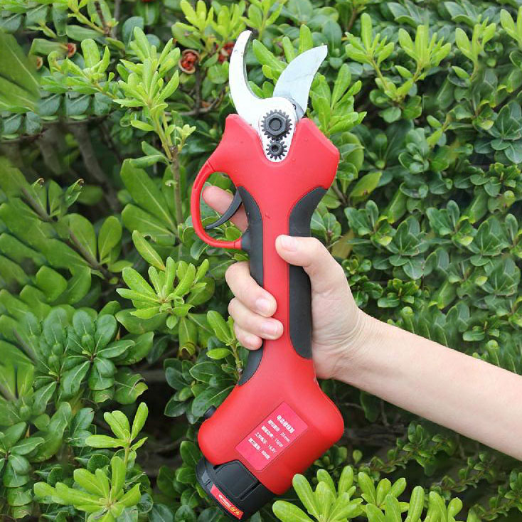 25-40mm snoeischaar voor boomg - Pruning Shears recensie en prijs