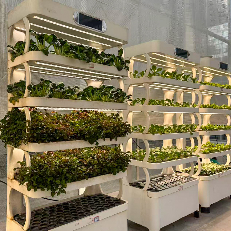Slimme verticale hydroponische - Grow Light Led recensie en prijs