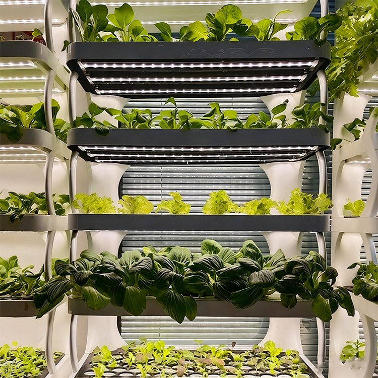 Slimme verticale hydroponische - Grow Light Led recensie en prijs
